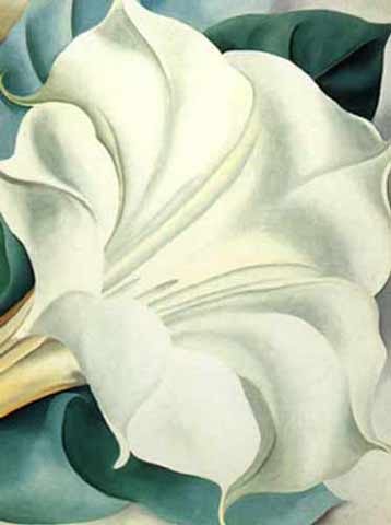 White Trumpet Flower by Georgia O'Keefe (1932)